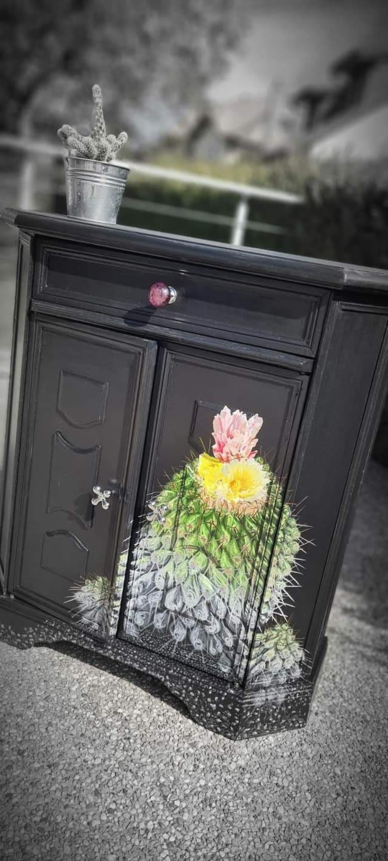 Cactus